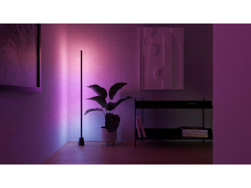 Philips Hue Play Floor Lamp