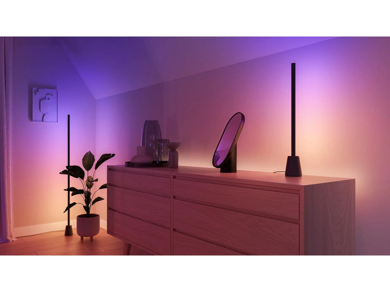 Philips Hue Play Floor Lamp