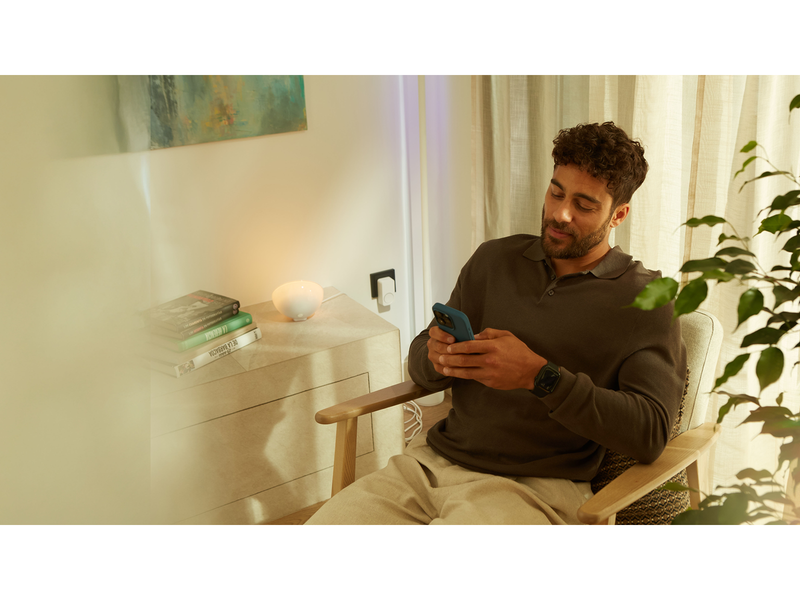 Philips Hue Secure Smart Chime