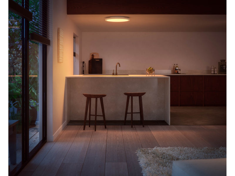 Philips Hue Surimu Panel Round ⌀39.5 cm 40W