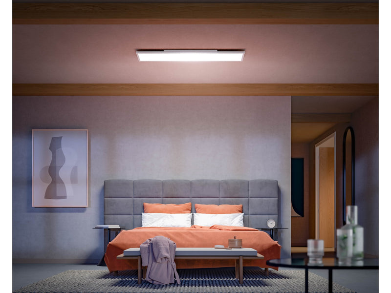 Philips Hue WCA Surimu Panel Rectangular 120 x 30 cm 60W