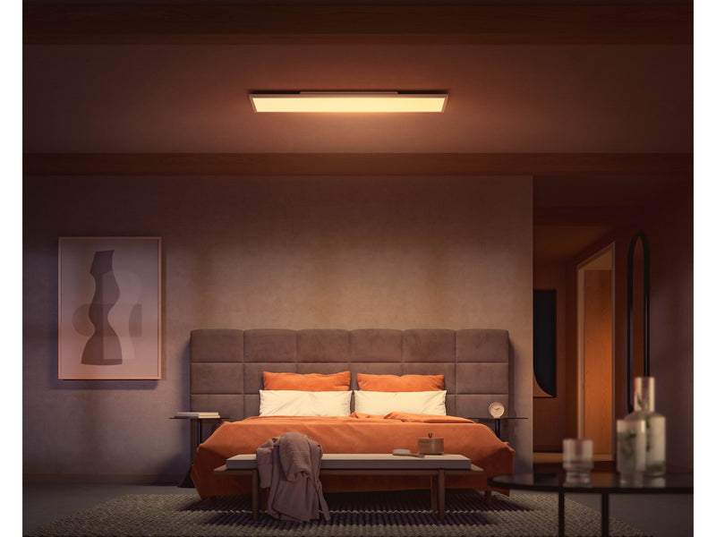 Philips Hue WCA Surimu Panel Rectangular 120 x 30 cm 60W