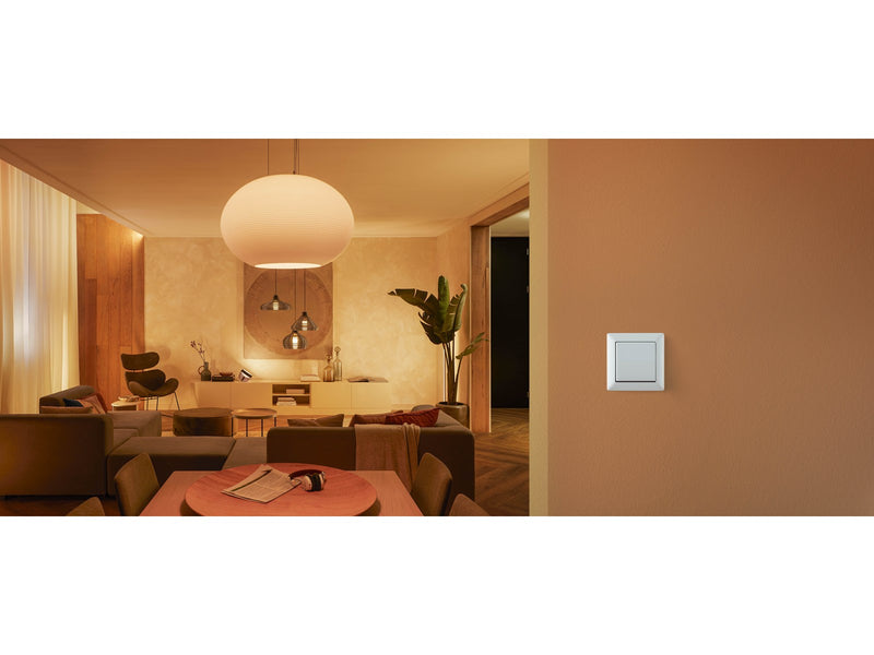 Philips Hue Wall Switch Modul