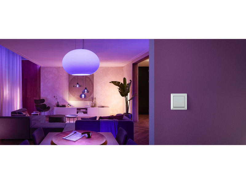 Philips Hue Wall Switch Module 2-Pack