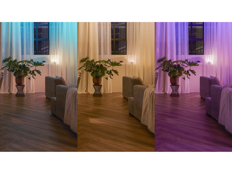Philips Hue Wall Switch Module 2-Pack