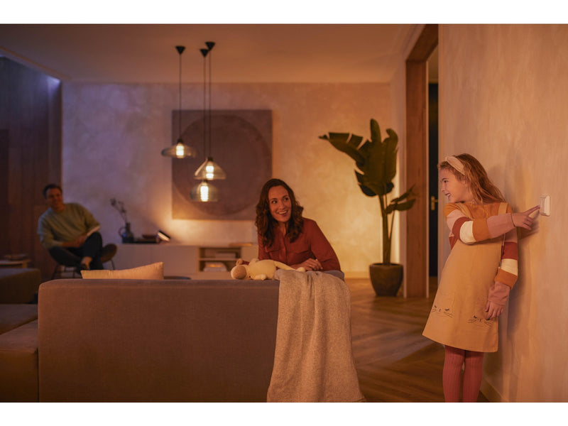 Philips Hue Wall Switch Module 2-Pack