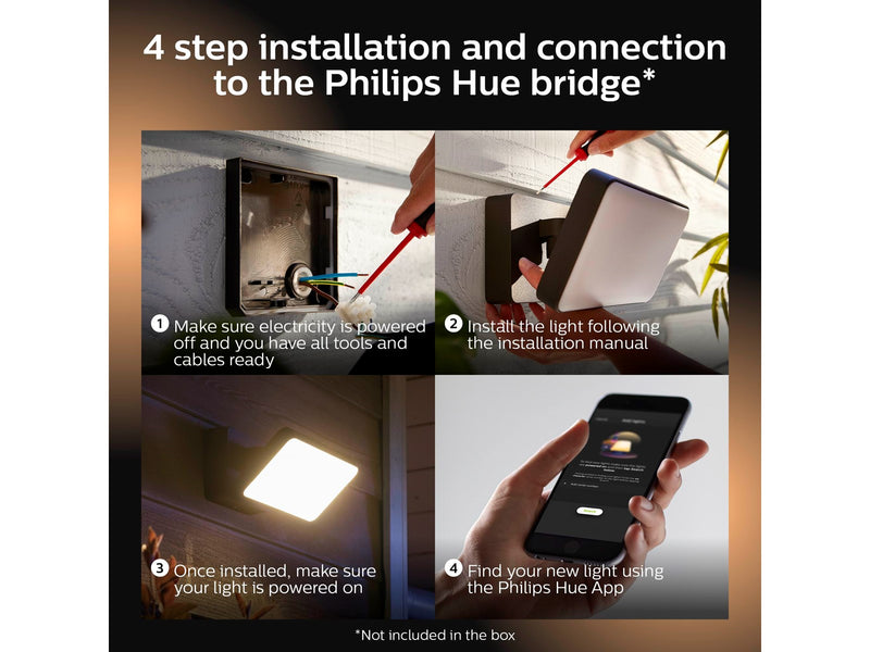 Philips Hue Welcome Outdoor Floodlight - Black