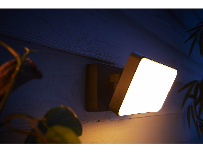 Philips Hue Welcome Outdoor Floodlight - Black