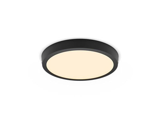 Philips MAGNEOS SF DL252 RD 284 20W 27K BL 06