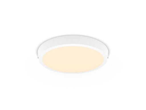 Philips MAGNEOS SF DL252 RD 284 20W 27K WH 06