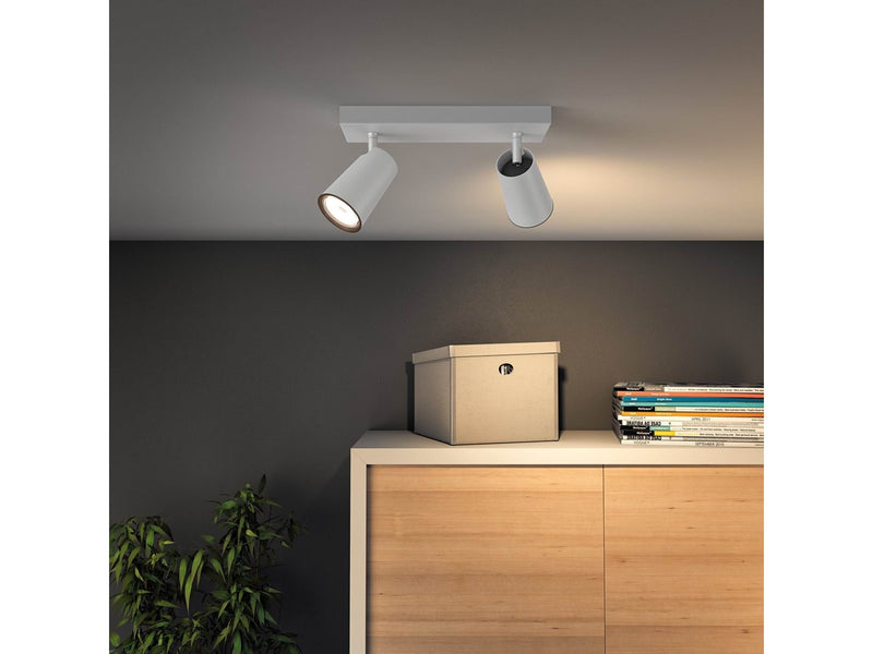 Philips PAISLEY bar/tube white 2xNW
