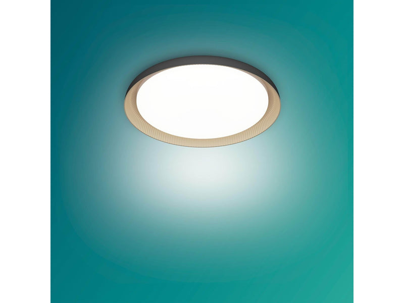 Philips Pebblo UE Ceiling SS B 10W 27K