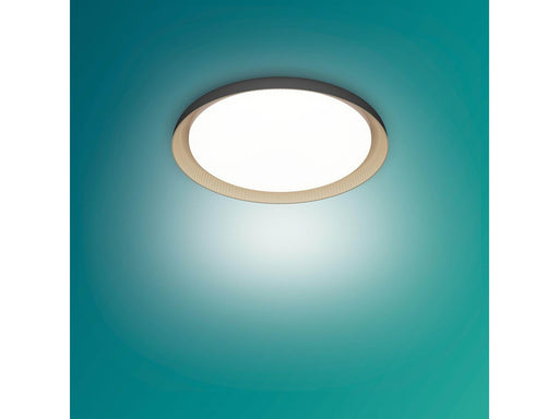 Philips Pebblo UE Ceiling SS B 10W 27K