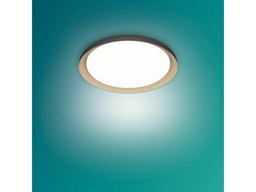 Philips Pebblo UE Ceiling SS B 10W 40K