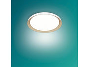 Philips Pebblo UE Ceiling SS W 10W 40K