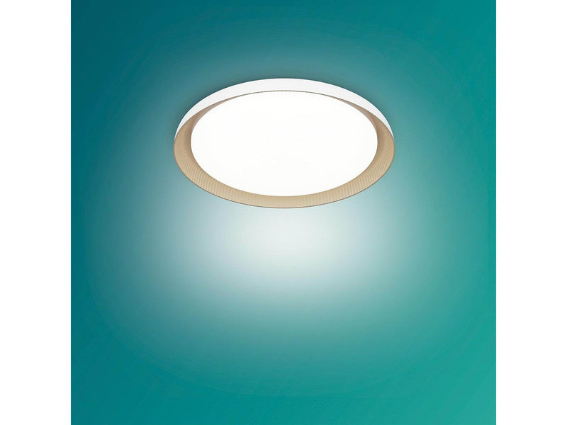 Philips Pebblo UE Ceiling SS W 10W 40K
