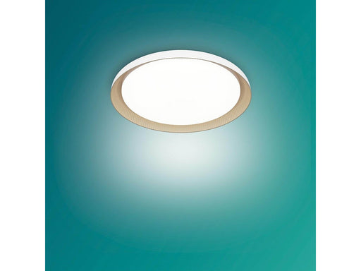 Philips Pebblo UE Ceiling SS W 10W 40K