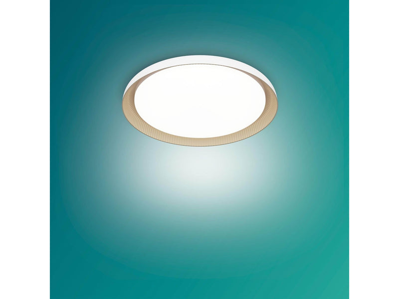 Philips Pebblo Ultra Efficient ceiling lamp Ø320 mm 10W 2700K white