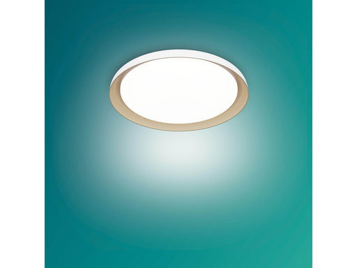 Philips Pebblo Ultra Efficient ceiling lamp Ø320 mm 10W 2700K white