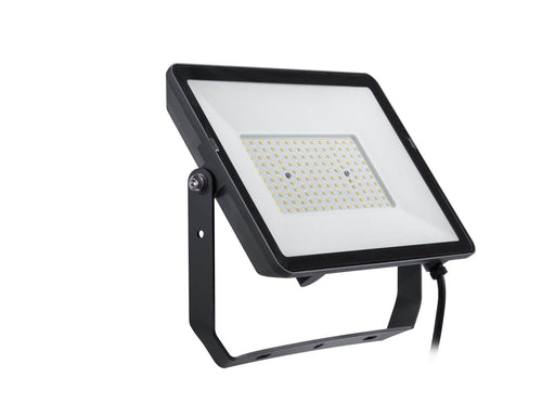 Philips Projectline Floodlight 100W 4000K
