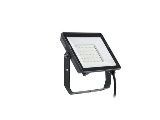 Philips Projectline Floodlight 50W 4000K