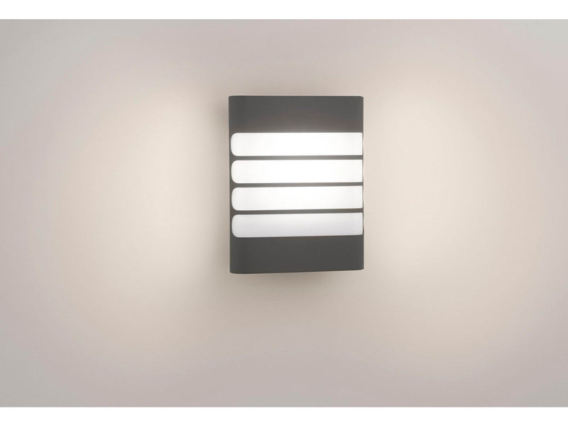 Philips Raccoon wall lantern LED antracit 1x4W