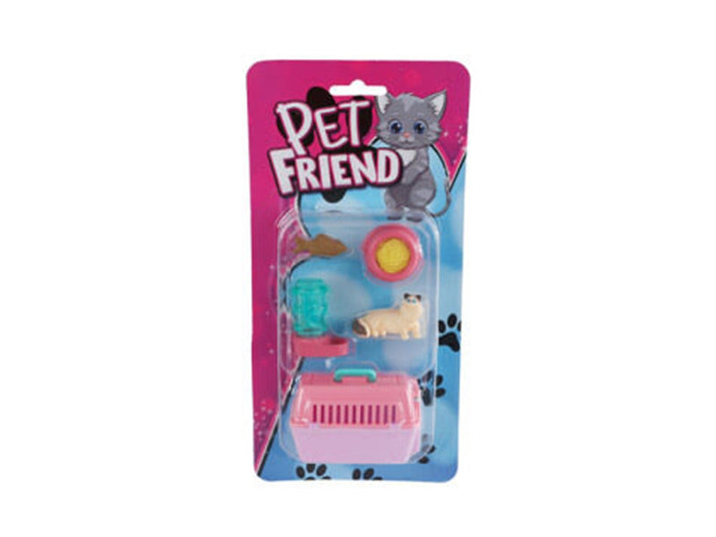 Pocket Money Cat and travel basket with accessorie