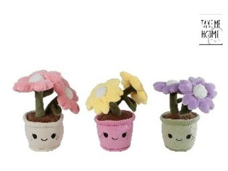Pocket Money Plants Plush flower 20 cm - assorted