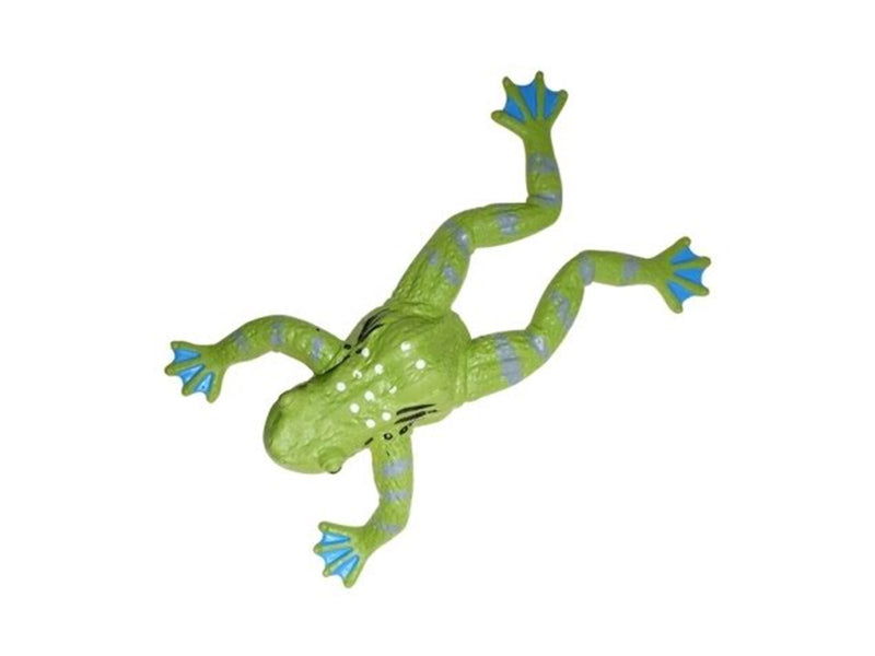 Pocket Money Stretchy Frog - assorted