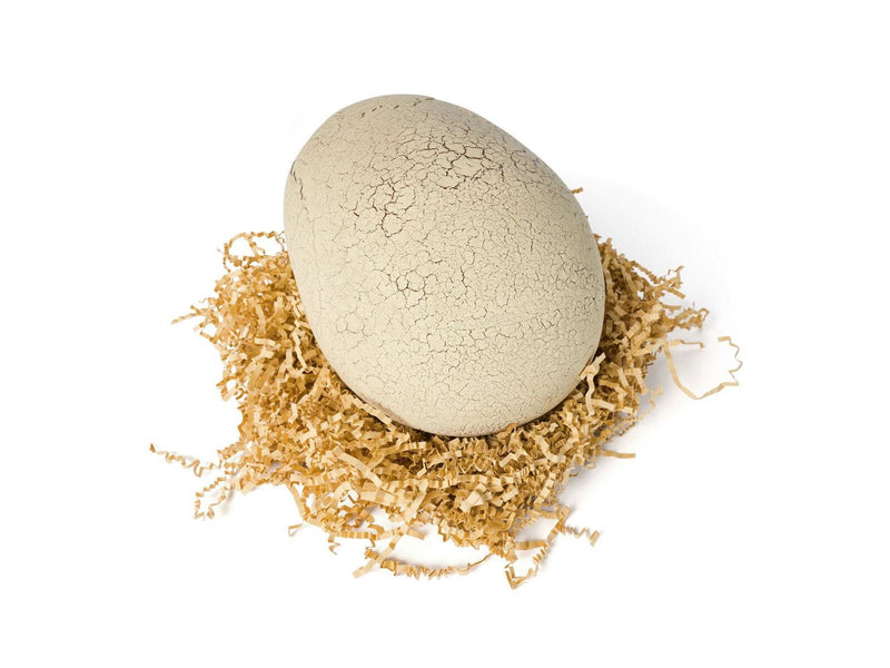 Primal Hatch Jurassic World Hatching Dinosaur T-Rex