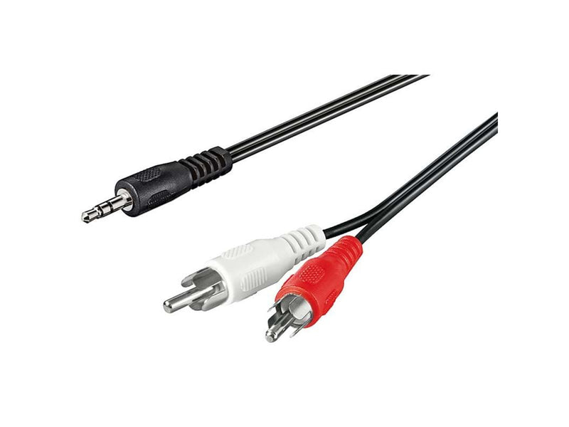 Pro MiniJack - 2xRCA - Schwarz - 20m