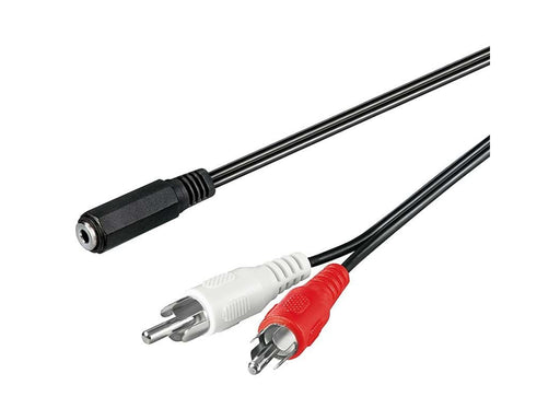 Pro MiniJack (F) - 2xRCA (M) - 0.20m