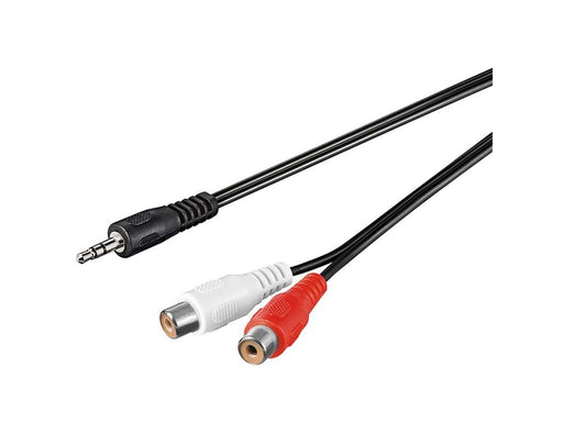 Pro MiniJack (M) - 2xRCA (F) - 1.5m