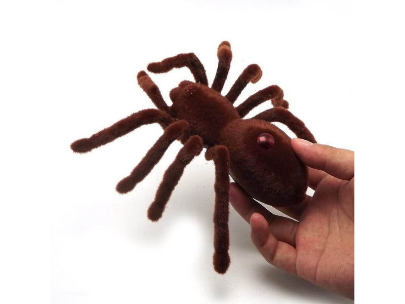 Pro Remote Controlled Spider