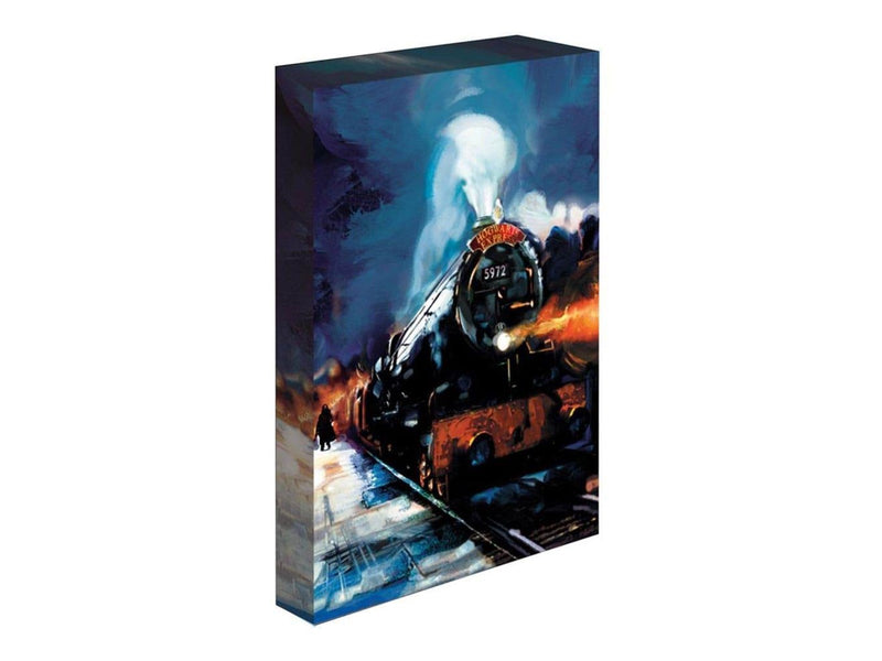 Pyramid - Light Up Canvas Harry Potter (Hogwarts Express) 30x40 - Bild