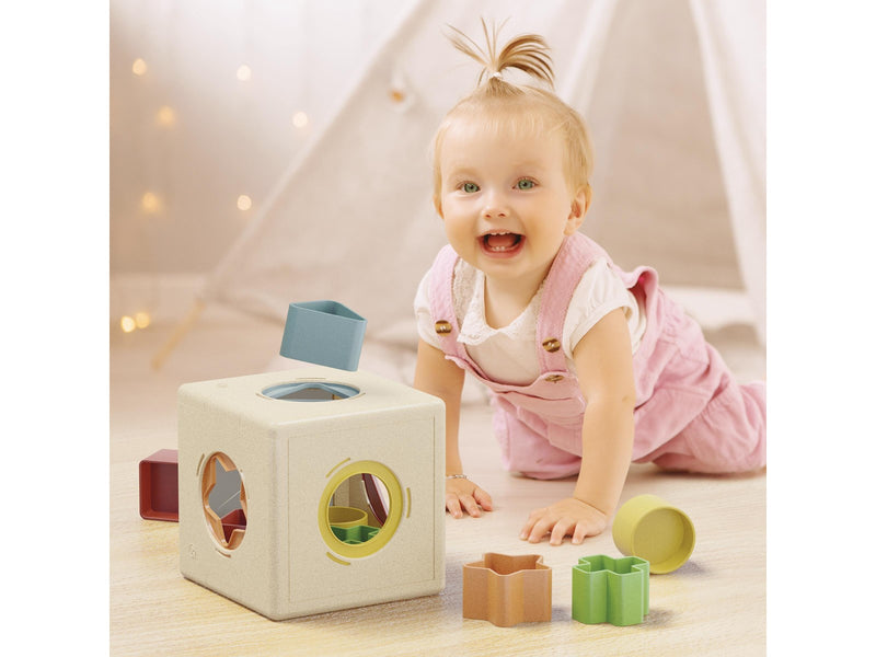 Quercetti Kubo Shape Sorter