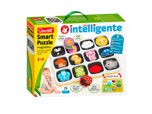 Quercetti Smart Magnet Puzzle