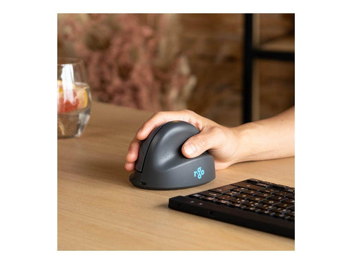R-Go Tools R-Go HE Basic - Vertical mouse (Schwarz)