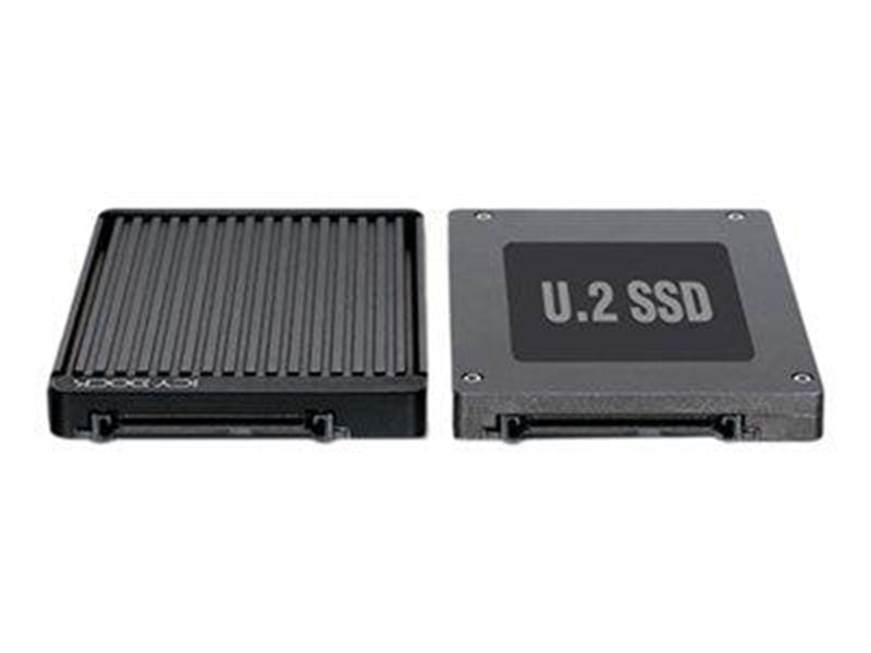 RaidSonic EZConvert