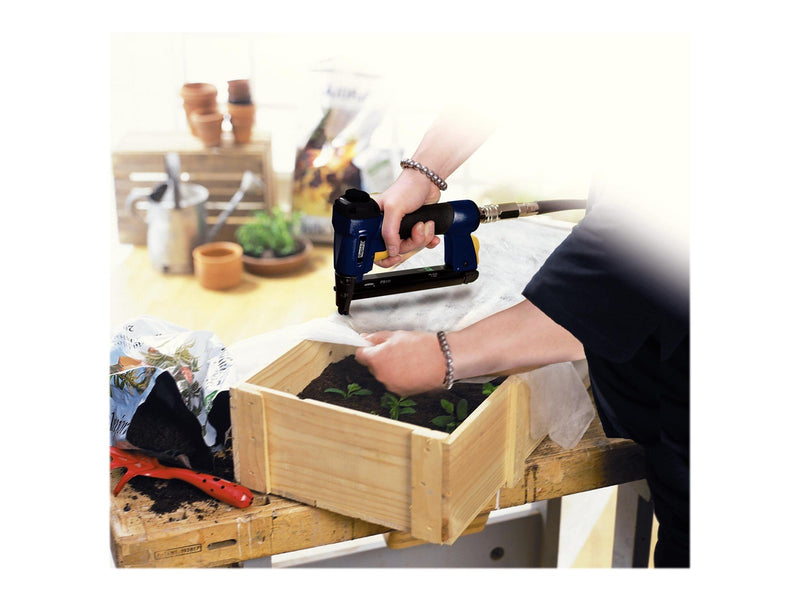 Rapid High Performance DP