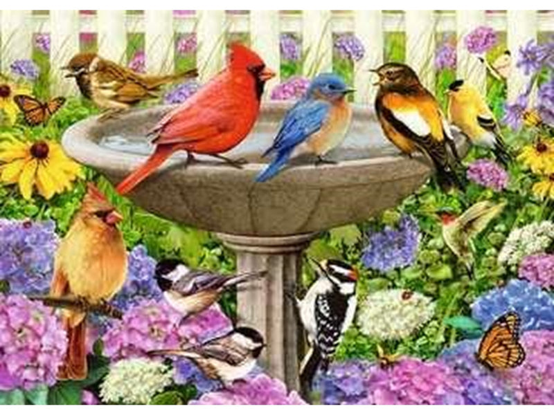Ravensburger Birdbath Puzzle 500 pcs. 2D Puzzles