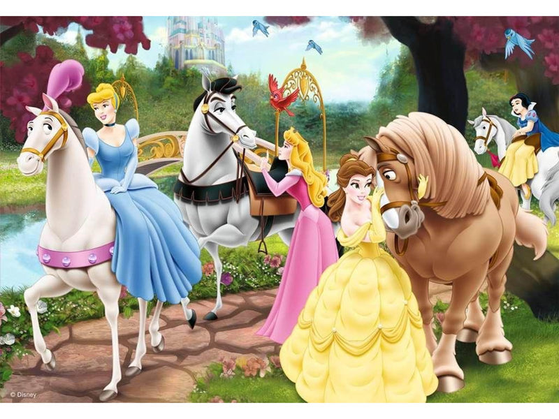 Ravensburger Enchanting Princesses 2x24p