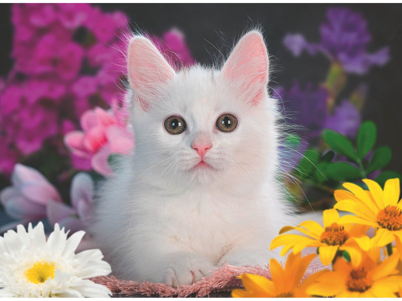 Ravensburger Glitzerkatze