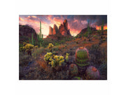 Ravensburger Jigsaw puzzle Cactus 500 pcs. 2D Puzzles