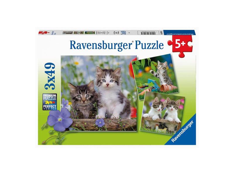 Ravensburger Jigsaw puzzle Young Kittens 3x49pcs. 2D Puzzles