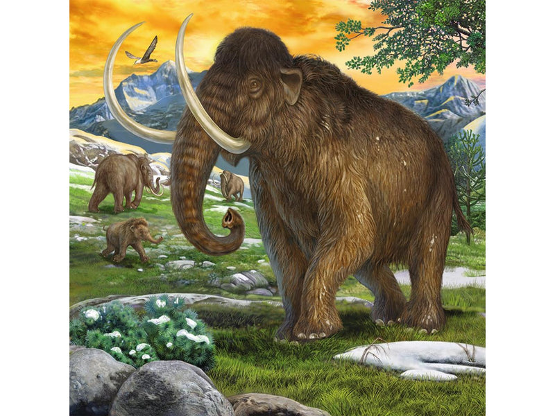 Ravensburger Primeval Ruler 3x49p