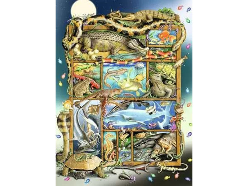 Ravensburger Reptilien im Regal