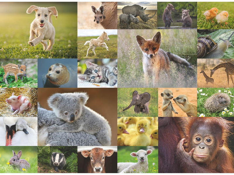 Ravensburger Süße Tierbabys