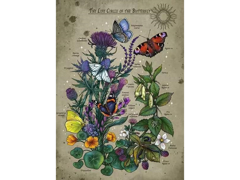 Ravensburger The Butterfly's Circle of Life 1000