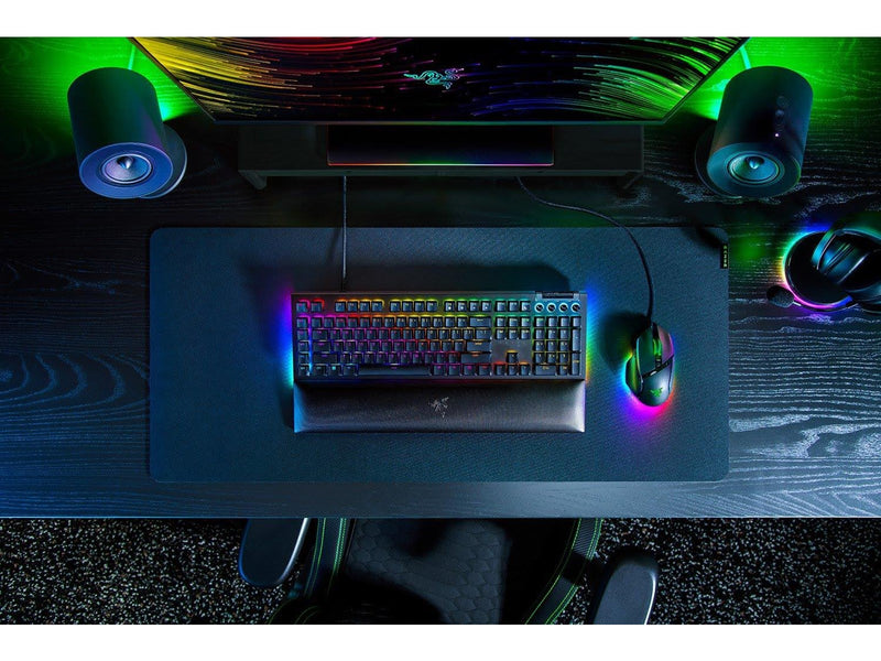 Razer BlackWidow V4 - Green Mechanical (Clicky) - Gaming Tastatur - Full-Size - Französisch - Schwarz